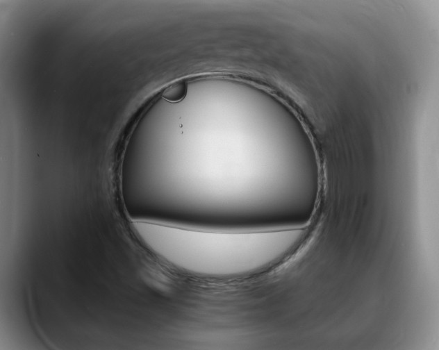 X0000090741501200707201004