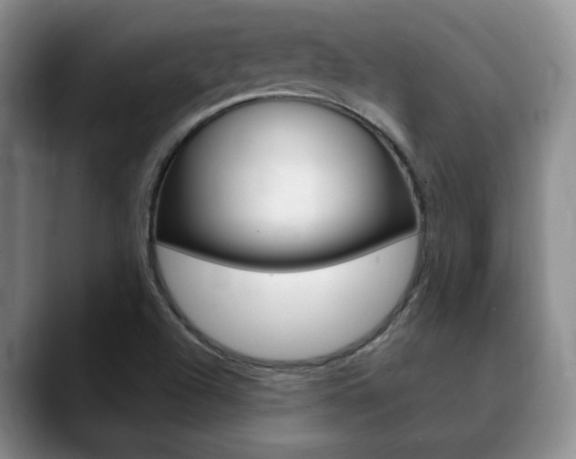 X0000090741504200707201004