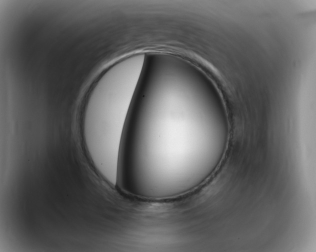 X0000090741506200707201004