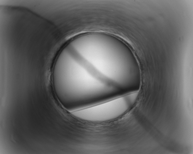 X0000090741507200707201004
