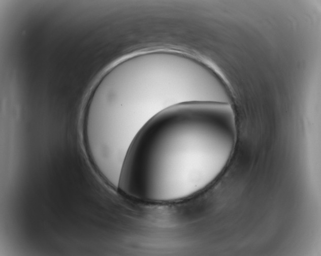 X0000090741508200707201004