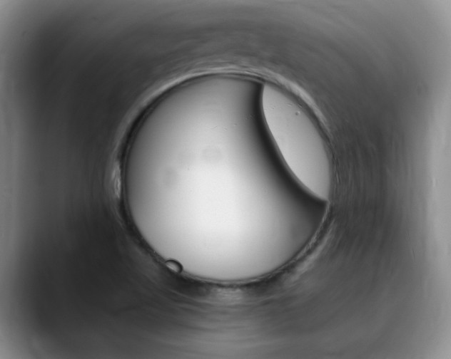 X0000090741509200707201004