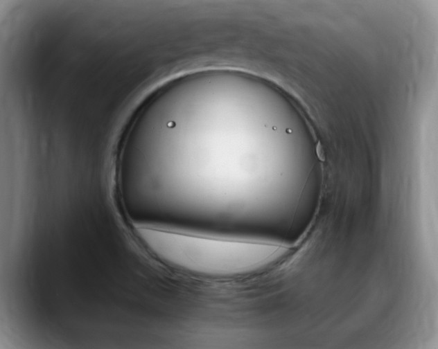 X0000090741511200707201004