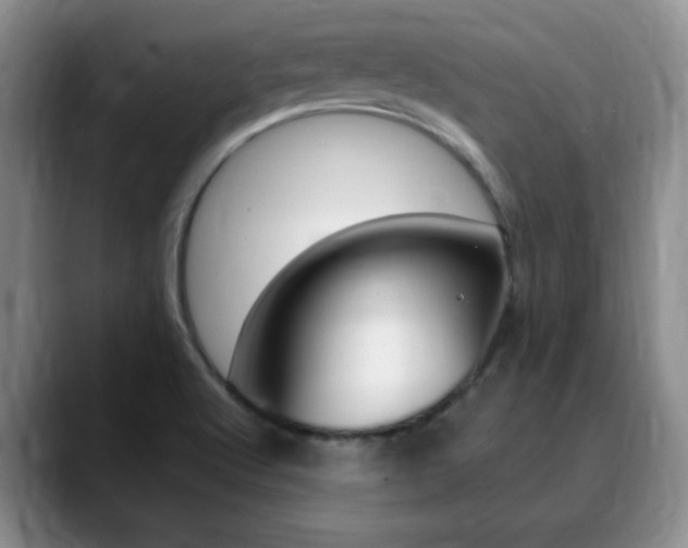X0000090741512200707201004