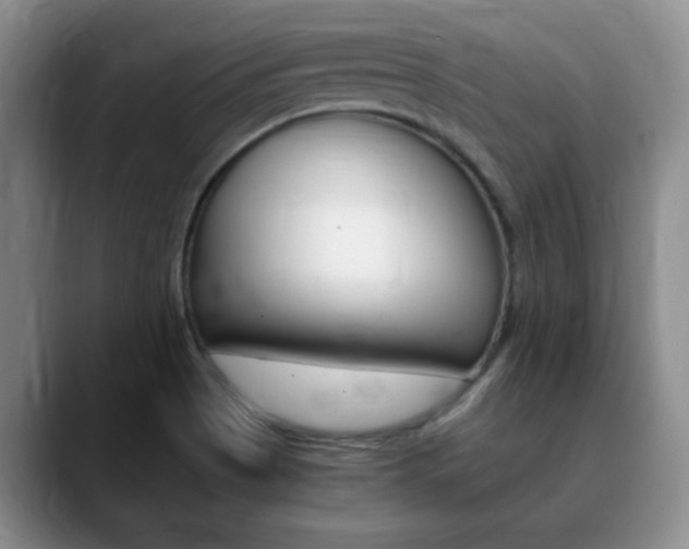X0000090741513200707201004