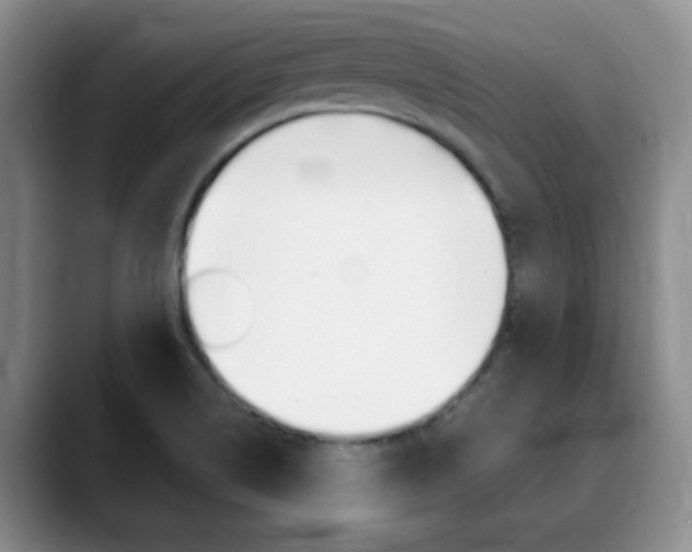 X0000090741514200707201004