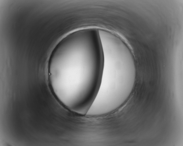 X0000090741516200707201004