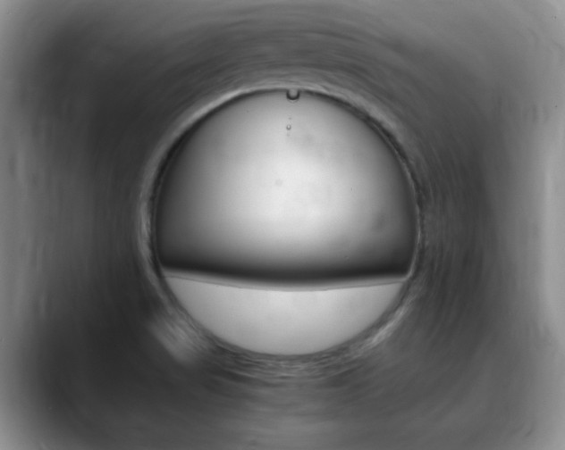 X0000090741517200707201004