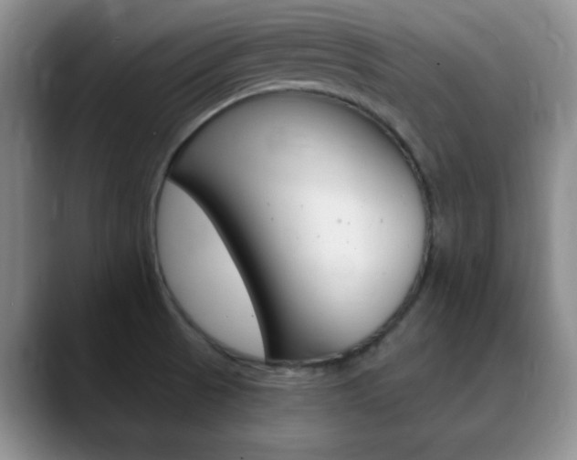 X0000090741521200707201004