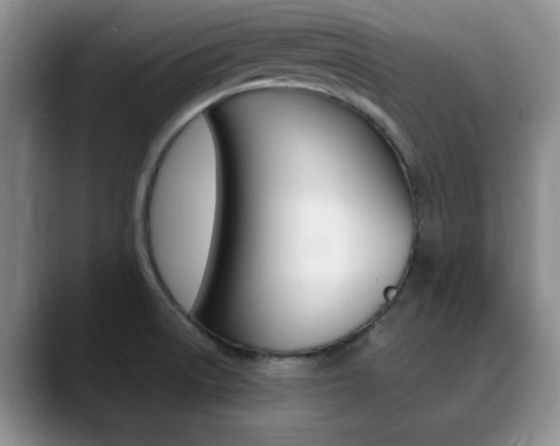 X0000090741522200707201004