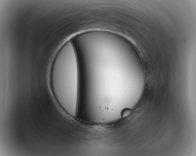 X0000090741523200707201004