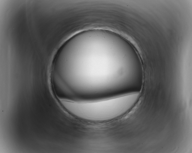 X0000090741525200707201004