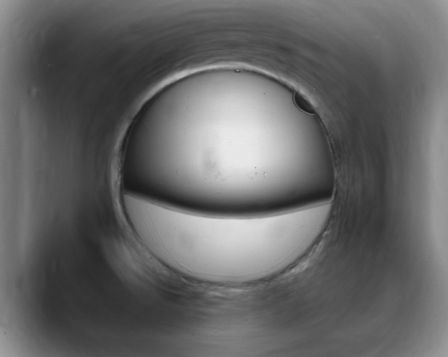 X0000090741526200707201004