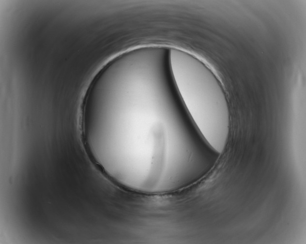 X0000090741527200707201004