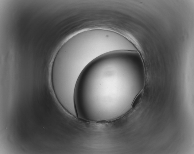 X0000090741528200707201004