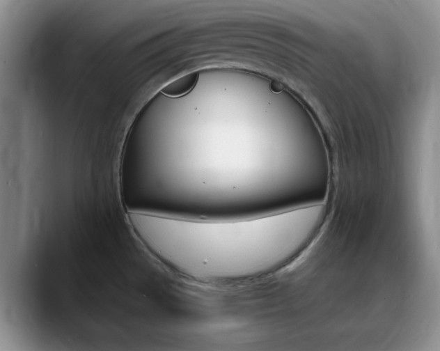 X0000090741529200707201004