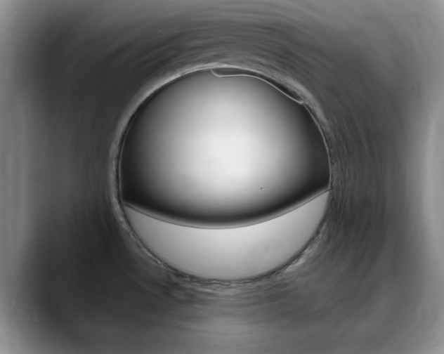 X0000090741530200707201004