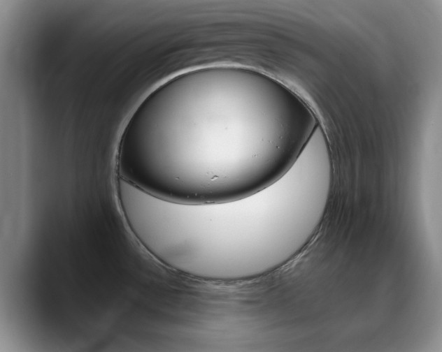 X0000090741532200707201004
