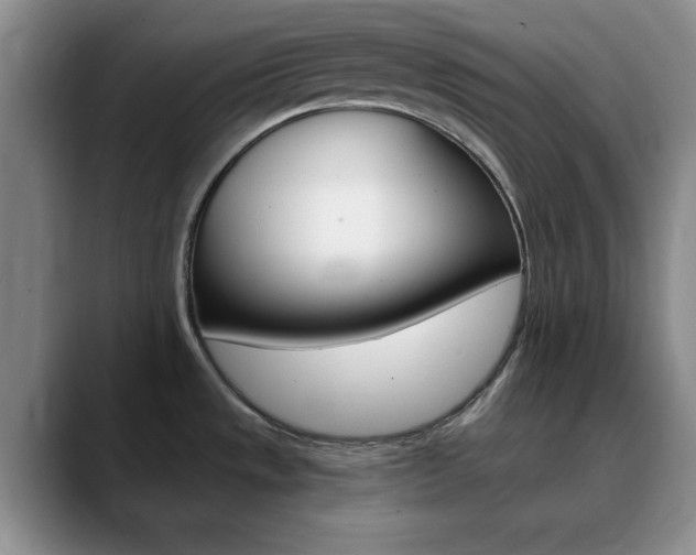 X0000090741533200707201004