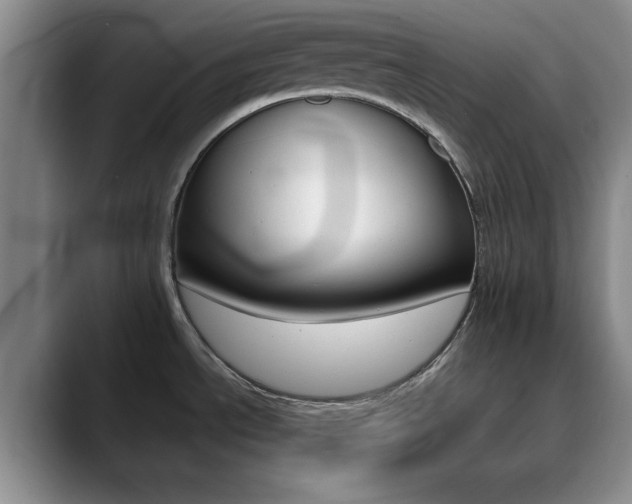 X0000090741534200707201004