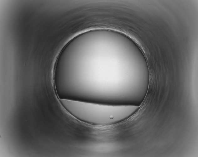 X0000090741535200707201004