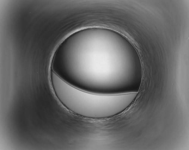 X0000090741536200707201004