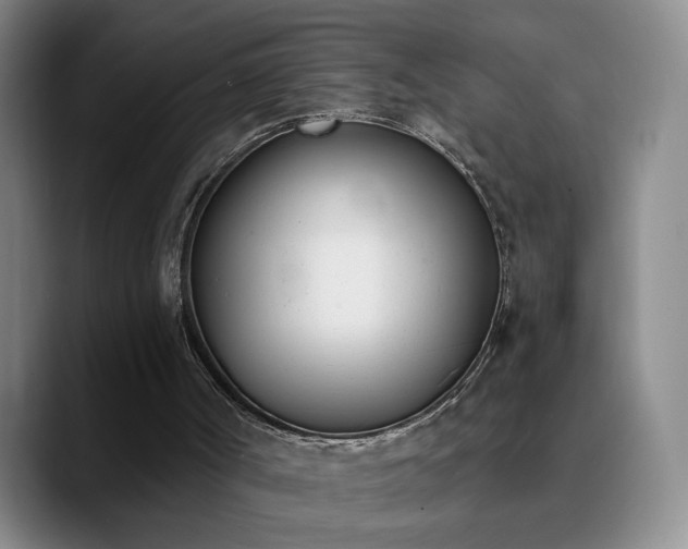 X0000090740002200707201438