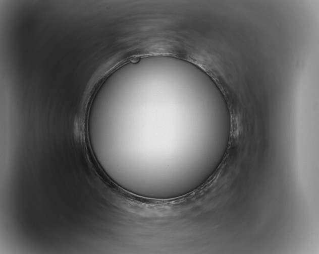 X0000090740004200707201438