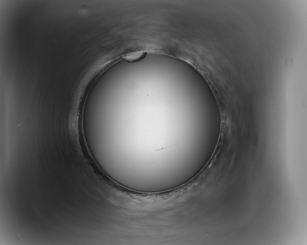 X0000090740006200707201438