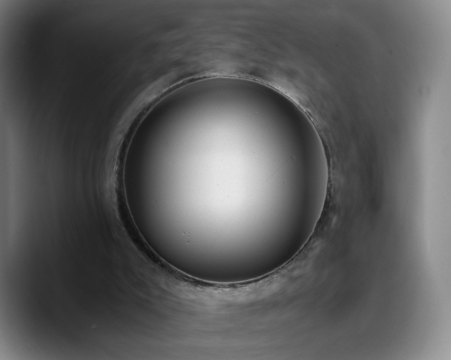 X0000090740007200707201438