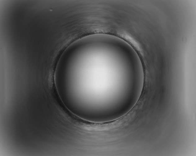 X0000090740009200707201438