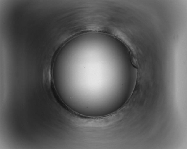 X0000090740011200707201438