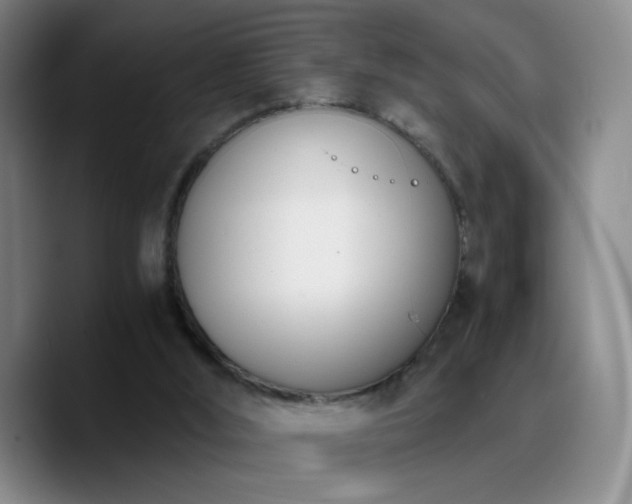 X0000090740012200707201438
