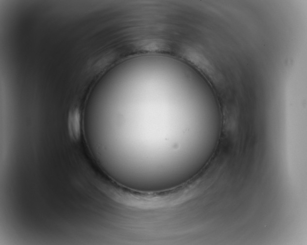 X0000090740014200707201438