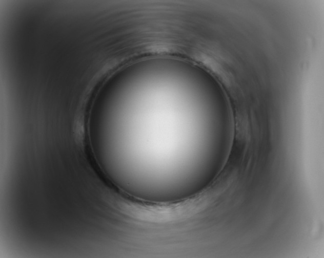 X0000090740015200707201438