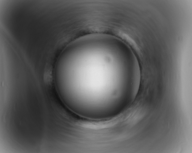 X0000090740017200707201438