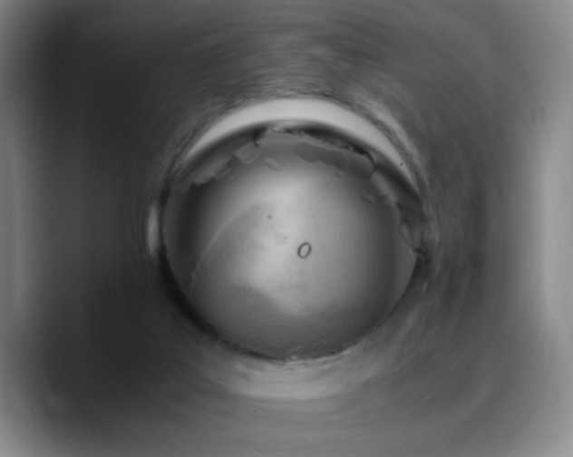 X0000090740019200707201438