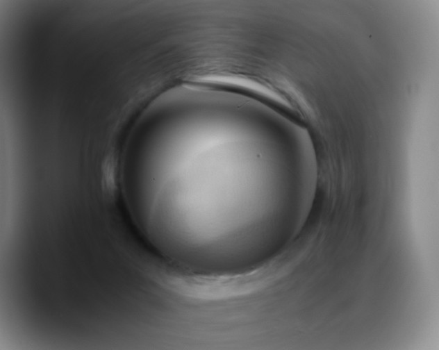 X0000090740023200707201438