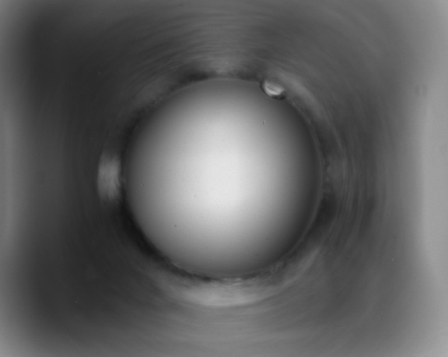 X0000090740024200707201438