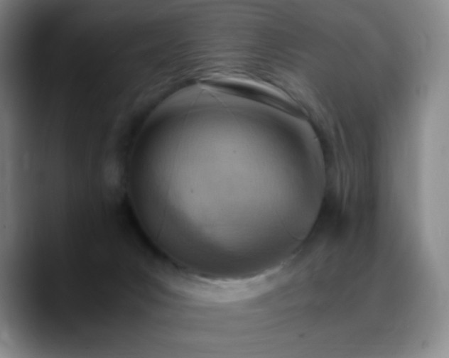 X0000090740031200707201438