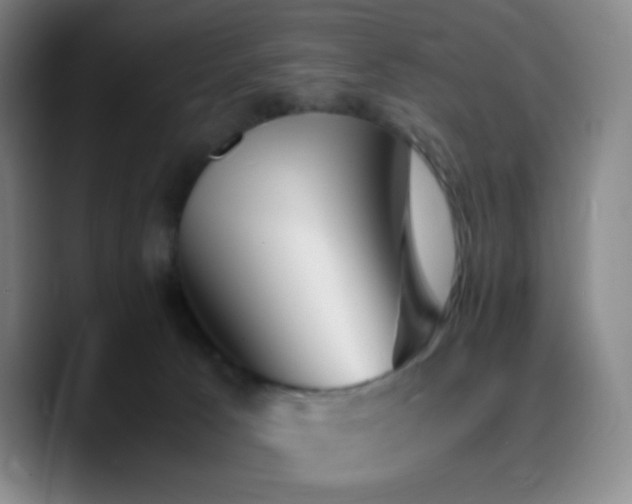 X0000090740033200707201438