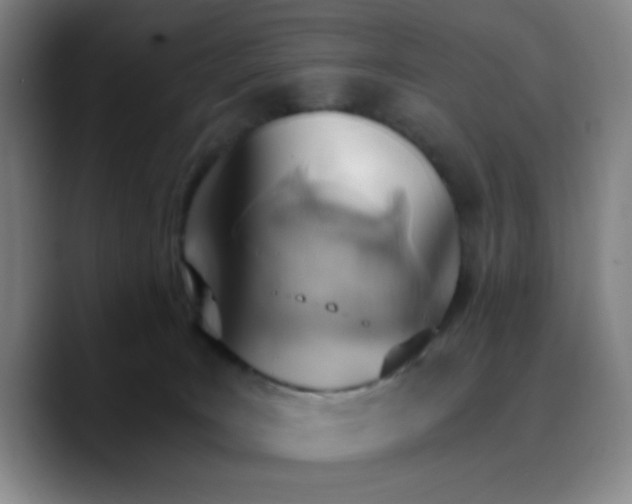 X0000090740035200707201438
