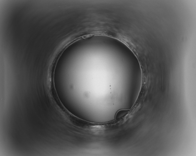 X0000090740053200707201437