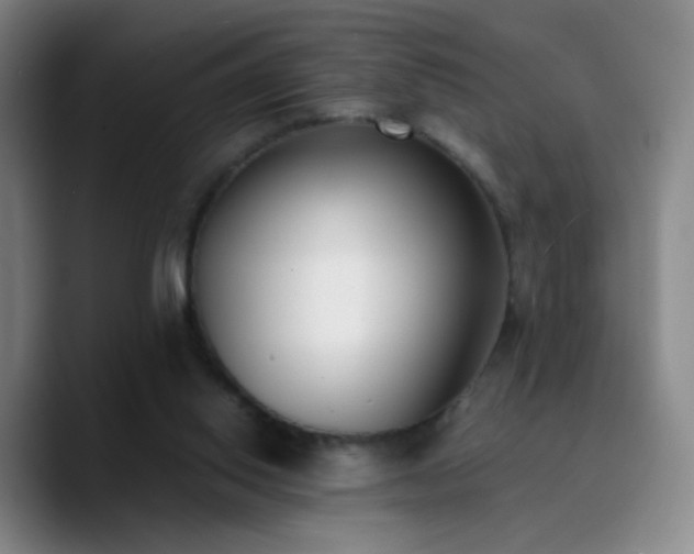 X0000090740062200707201437