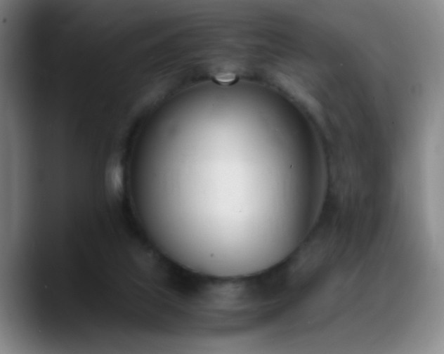 X0000090740067200707201437
