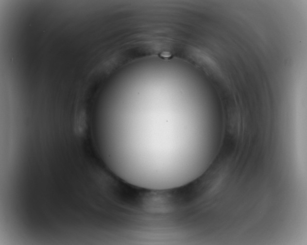 X0000090740077200707201438