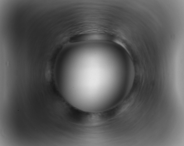X0000090740080200707201438
