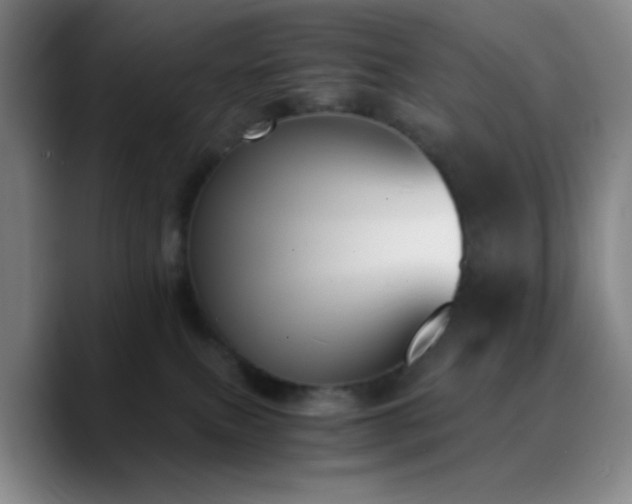 X0000090740087200707201438