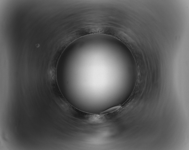 X0000090740096200707201438
