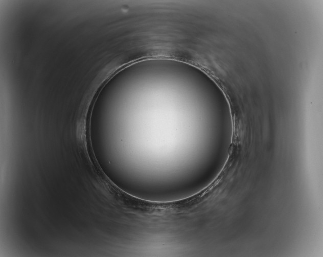 X0000090740099200707201437